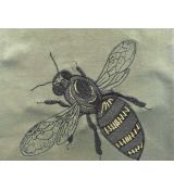 Včela 5